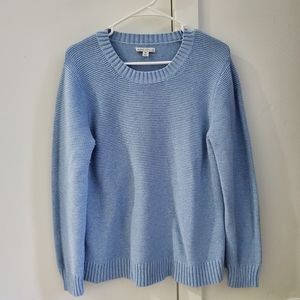 J. Crew Mercantile Light Blue Sweater